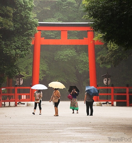 shinto-shrine-in-the-rain-kyoto-tokyo.jpg